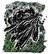 Dark Bead
