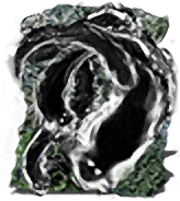 Pursuers