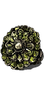 Chloranthy Ring+1