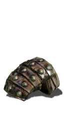 Caestus
