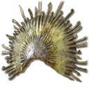 Broken Gold Mask