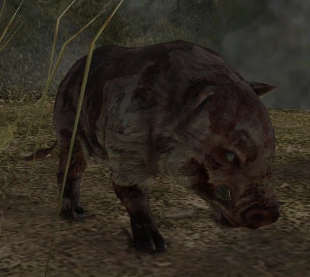 Enslaved Pig