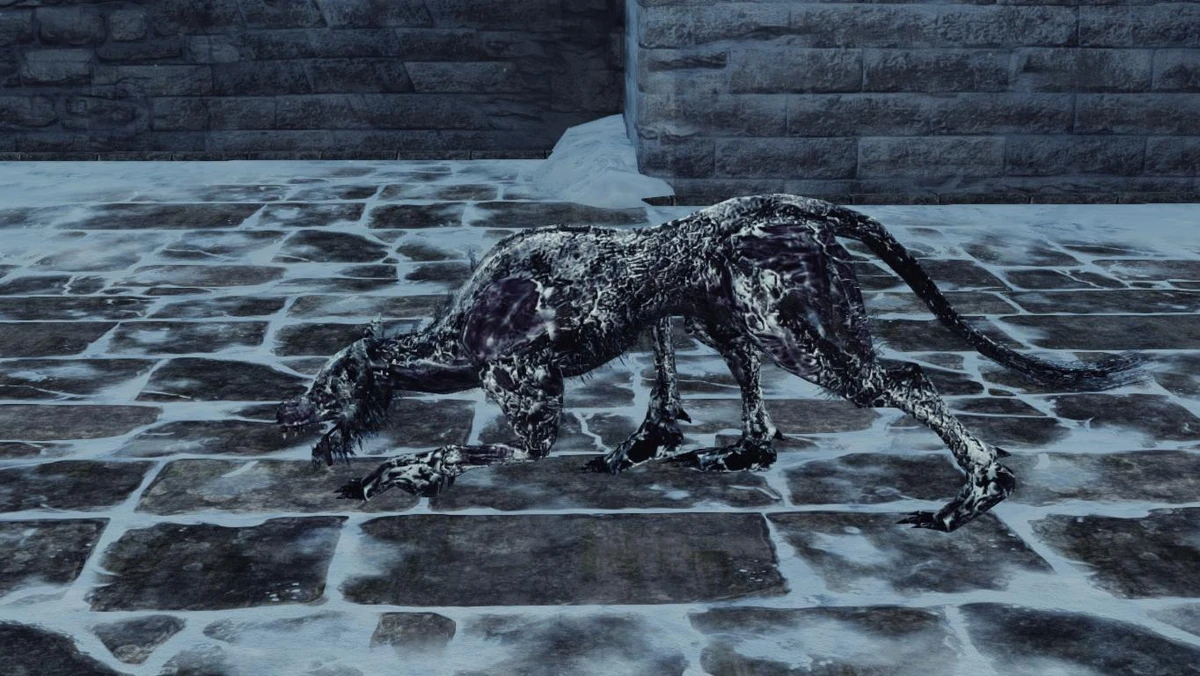 Frost Hound
