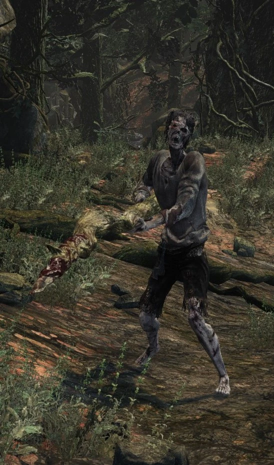 Lycanthrope Hunter